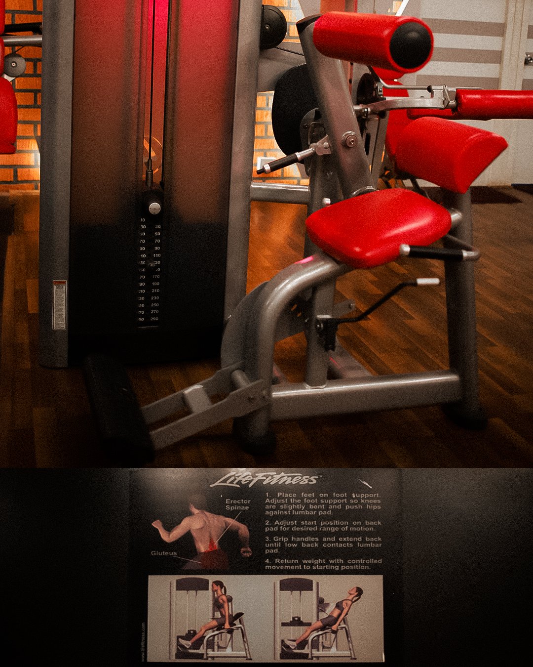 Back Extension Machine
