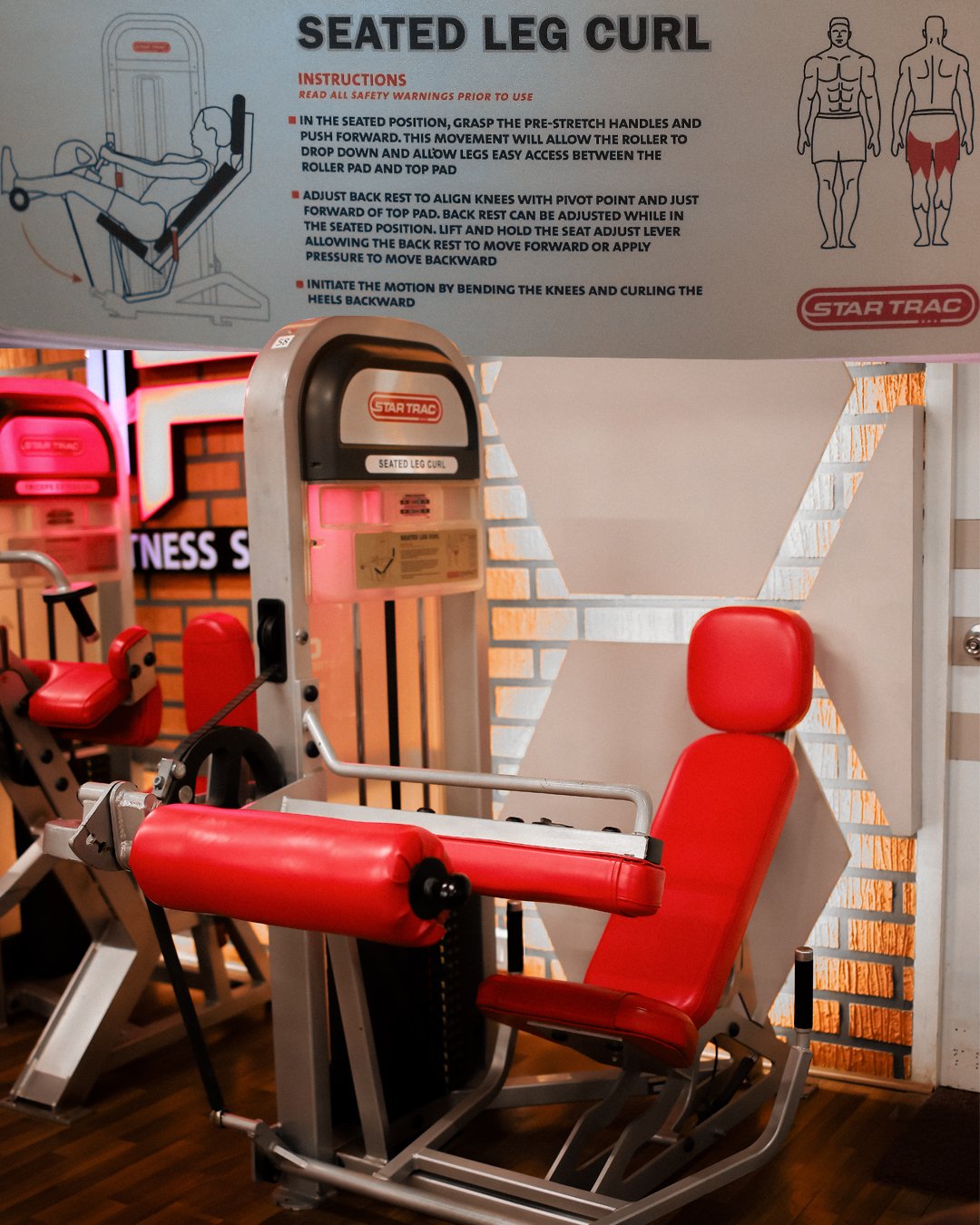 Seated Leg Curl